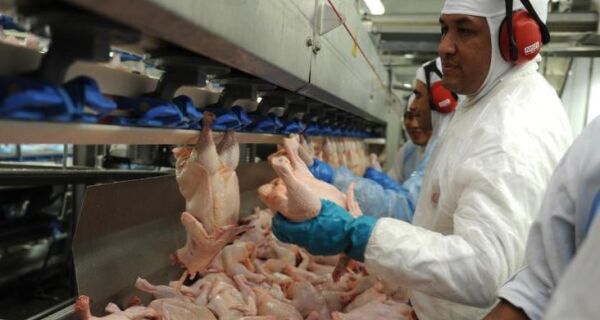 Produção de frango cai 3,17% em 2012, informa Ubabef