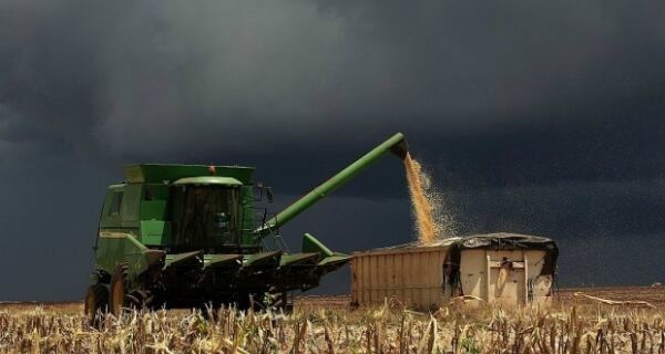 Chove em Laguna Carapã (MS), após seca de 30 dias; soja tem quebra de 30% na produção