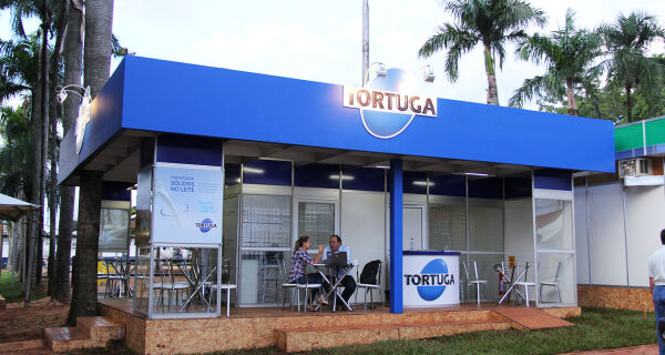 Tortuga: empresa líder em confinamento em MS
