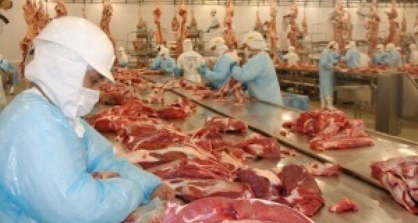 EUA: confira os motivos do aumento da produção de carne bovina em julho
