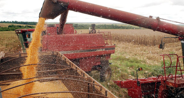 Safra de grãos pode ultrapassar 195 milhões de toneladas