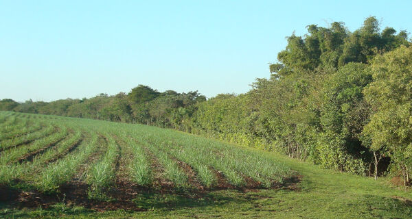 Incra aponta certificação 2,2 milhões de hectares