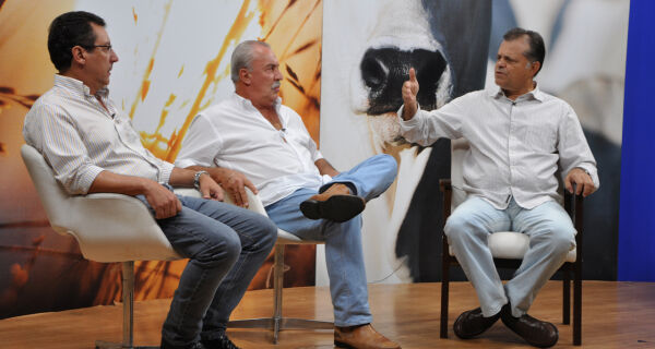 Fazenda Baía Grande mostra resultados da criação de superbezerros no dia 25