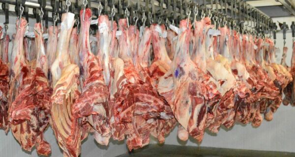MS registra em março melhor resultado do ano na exportação de carnes