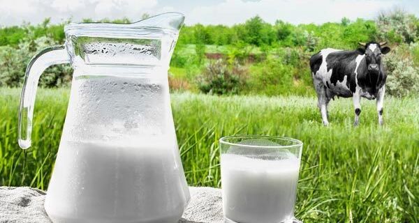 Em queda a 5 meses, litro do leite ao produtor chega a R$ 1,00