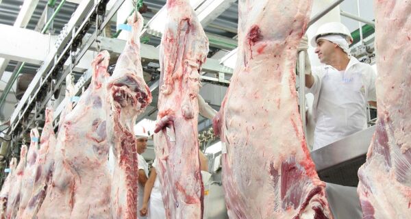 CNA propõe novos parâmetros para classificação de carcaça bovina