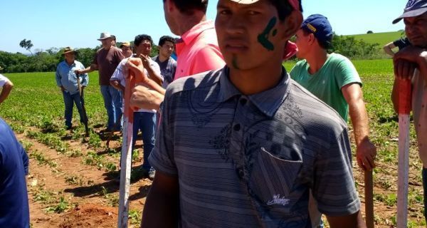 Indígenas invadem fazenda em Guaíra/PR e produtores reagem