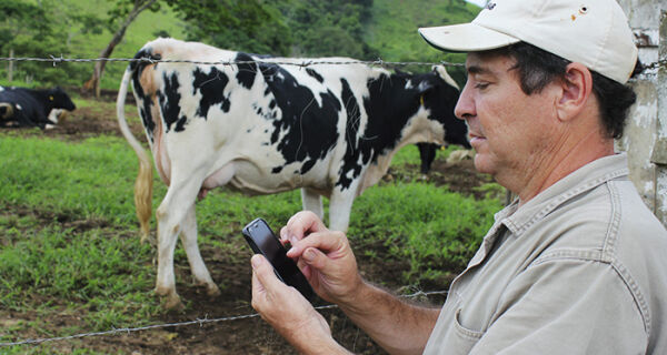 Embrapa lança aplicativo para gerenciamento de fazendas de leite