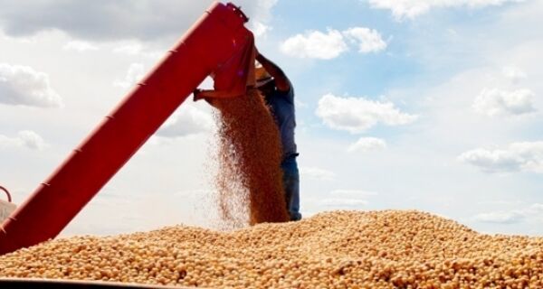 Brasil deve produzir 110,1 milhões de toneladas de soja