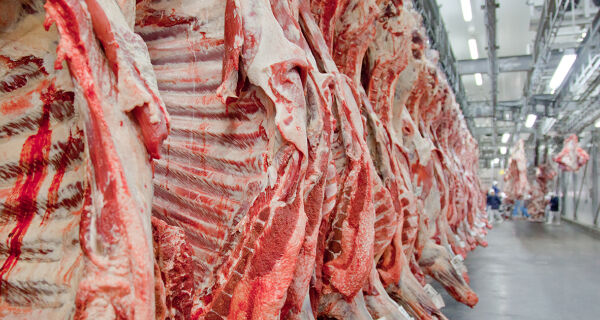 Rússia deverá avaliar com celeridade reabertura ao mercado de carne