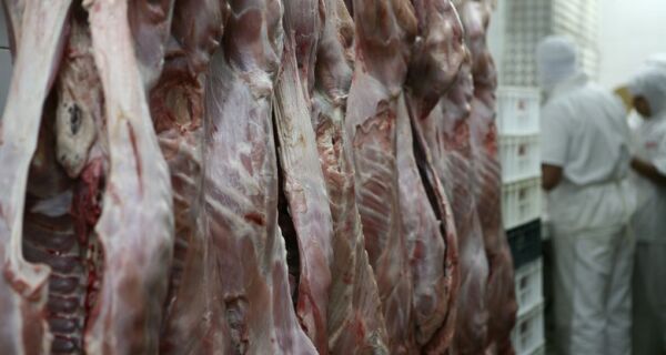 Indonésia vai abrir seu mercado à carne bovina brasileira