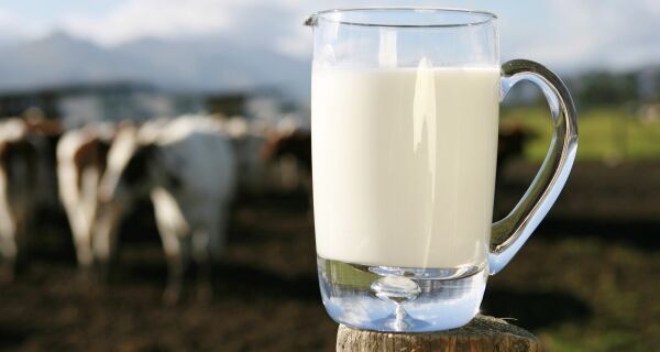Ano de 2018 é de recuperação para o setor leiteiro no Brasil