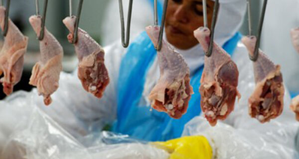 República Dominicana abre mercado para carne de aves do Brasil