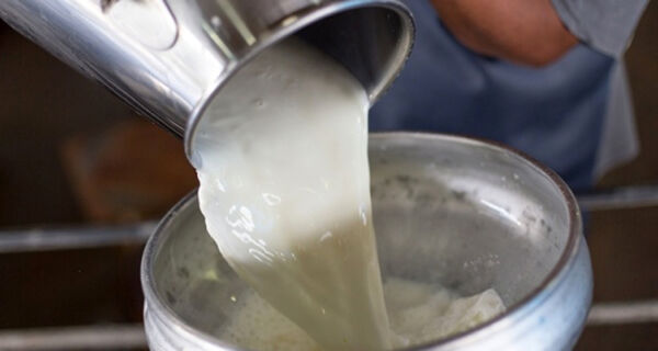 Captação de leite cai pelo 3º mês e preço ao produtor sobe 7,7%