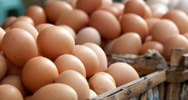 Mercado dos ovos continua com pressão de baixa no Pais