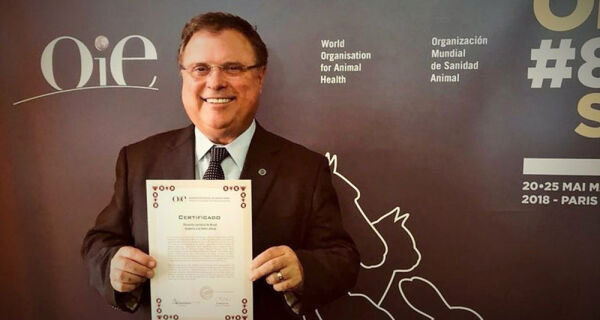 Maggi recebe na OIE certificado do Brasil livre da aftosa com vacinação