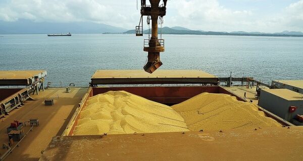 Paralisação reduz em 27% movimentação diária de granéis no Porto de Paranaguá