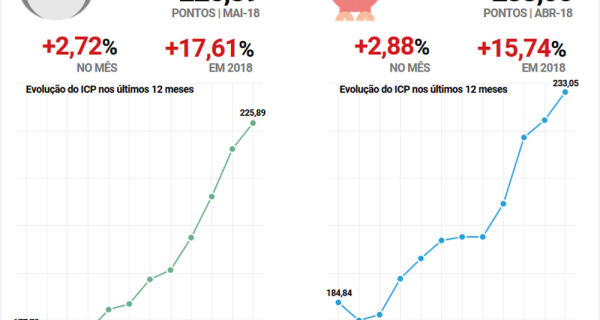 Custo de produção do quilo de suíno vivo passa dos 4 reais em maio