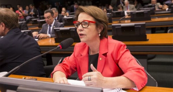 Projeto de lei proíbe descrição indevida do leite em embalagens de alimentos