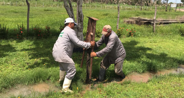Construir cercas ficou mais fácil com um novo modelo manual