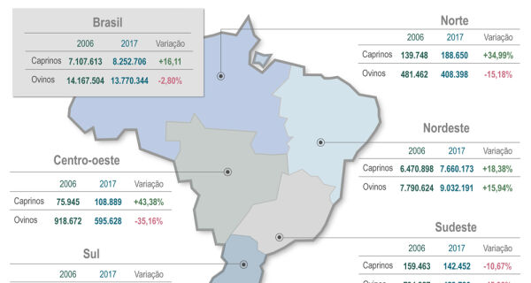 Novo Censo Agropecuário mostra crescimento de efetivo de caprinos