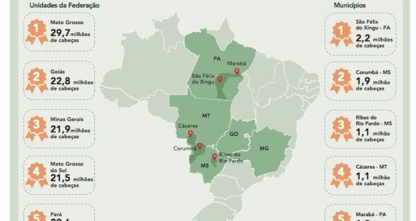 IBGE: Rebanho bovino predomina no Centro-Oeste e Mato Grosso lidera entre os estados