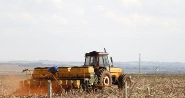 Mato Grosso do Sul já terminou plantio da soja em 97% da lavoura