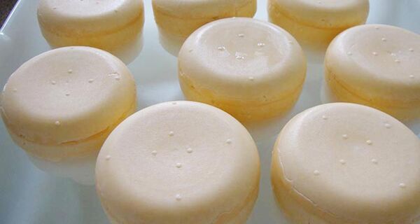 Microrganismo usado em queijo de leite de cabra é anti-inflamatório