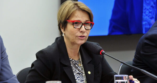 Na viagem que fará para a China, ministra Tereza Cristina vai tratar das exportações de carne e soja