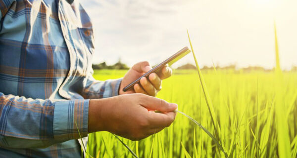 Incra lança serviço digital para envio de documentos do cadastro rural