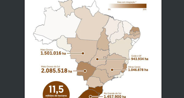 MS é líder no país em integração lavoura, pecuária e floresta com 2 milhões de hectares