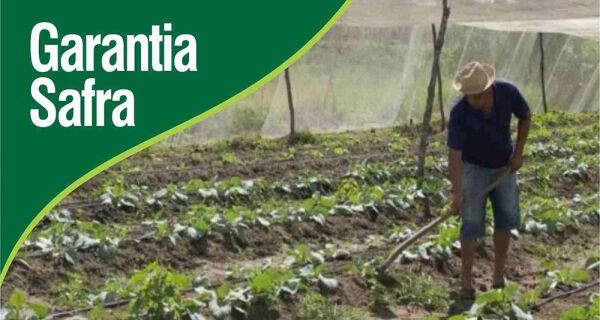 Garantia-Safra vai pagar R$ 19,2 milhões para mais de 22 mil agricultores familiares de 4 Estados
