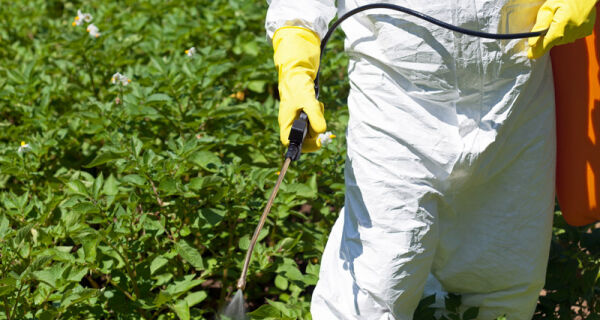 Instrução Normativa traz novas especificações de referência para defensivos agrícolas biológicos