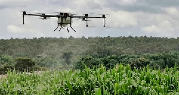 Empresas públicas e privadas discutem o uso de drones na pulverização e no controle biológico da lav