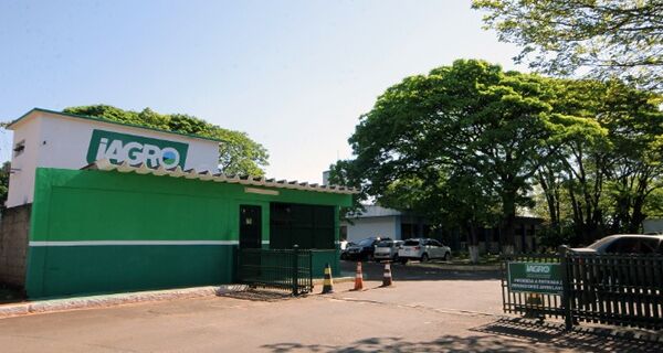 Iagro já pode voltar a diagnosticar Mormo e Anemia Infecciosa Equina em MS