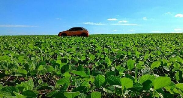 Com 60% comercializada, safra de soja está em pleno desenvolvimento em MS