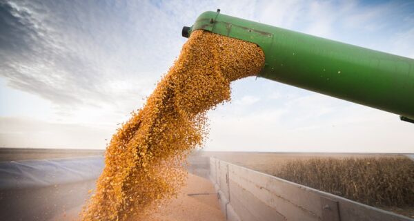 Safra de grãos 2020/21 deve alcançar 264,8 milhões de toneladas