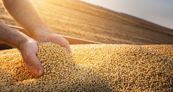 Safra de grãos deve atingir 271,7 milhões de toneladas, prevê Conab