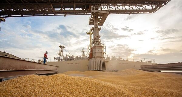 Anec eleva previsão de exportações de milho do Brasil em julho