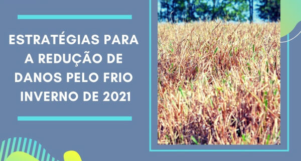 Nota técnica da Embrapa alerta pecuaristas para chegada de nova frente fria