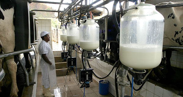 Preço do leite no Brasil supera cotação internacional