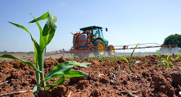 Novo biodefensivo à base de baculovírus chega ao mercado