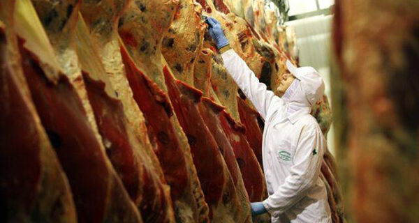Preços da carne bovina registram queda no atacado, após escoamento de estoques