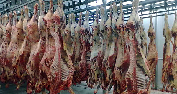 Ministério da Agricultura diz que não há nova orientação sobre embarques para China
