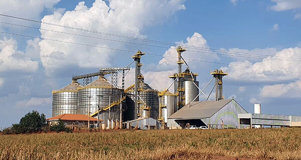 Com produção agrícola em crescimento em MS, Coamo inaugura armazém em Bandeirantes
