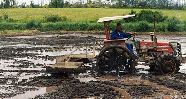 Estudo da Embrapa quantifica emissão de metano em arroz irrigado