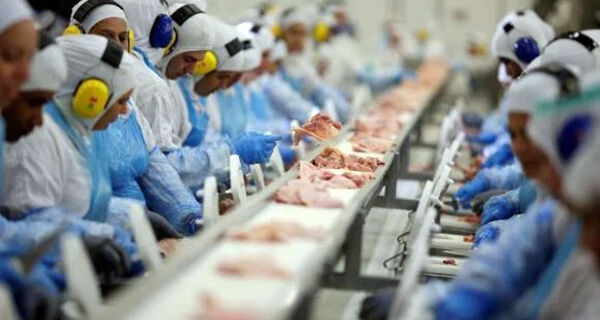 Conab projeta recorde nas exportações de carnes de frango e suína em 2021