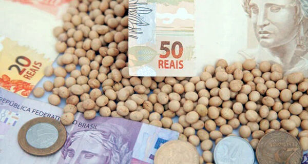 Preço da soja em Dourados fica abaixo de R$ 150,00