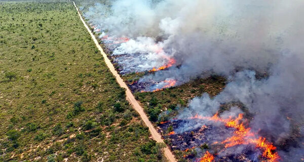 Prorrogada por mais 60 dias a proibição de queima controlada no Pantanal