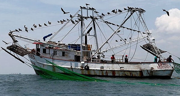 Secretaria simplifica procedimentos para transferência de embarcações pesqueiras